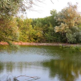 maison familiale en pleine nature avec plage privée sur la Ceze - 6