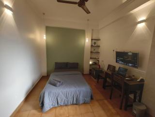 The Green Wall Studio AC Wifi - Gogol Margao - 7