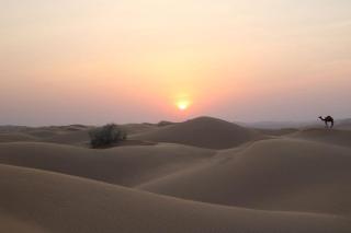 Desert Rose Camp - Rub Al Khali - 2