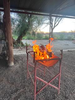 Brosdoring Farmstay - 2