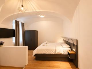 Modern Apartment in Central Viennas 7th District - 8