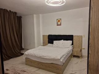 Furnished apartment for daily and monthly rent in Garden City - 1