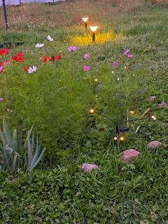 Xevi cottage - 4