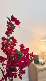 studio charme le cosy - 3