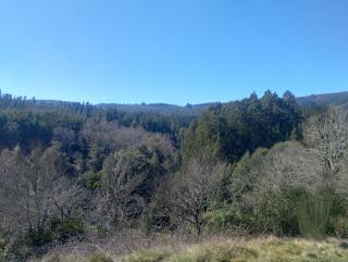 Rincón de la Piedra a 15 minutos de Valdivia - 6