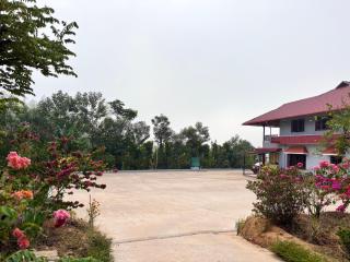 Meadow View Homestay - 9
