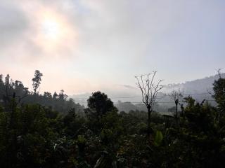 Meadow View Homestay - 3
