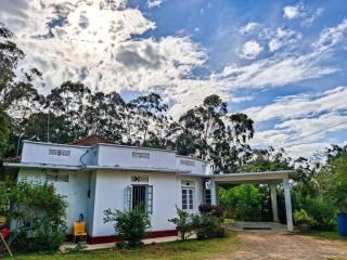 Ella Cityscape Bungalow - 6