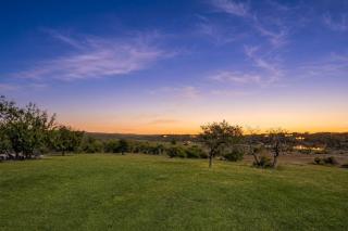 4-Bedroom Spacious Home with Guest House & Pool, Located on 9 Acres of Land - 6