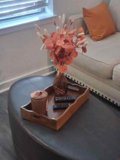 Radiant & Cozy - Memphis - 5