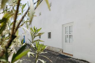 Pannonia Loft Mörbisch - 8
