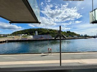1BR Waterfront Central Apt by Opera and Munch - 1