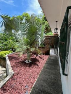 La Villa Palmier - Quiet - Spacious & AC - Garden - 6