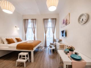 Central Prague Studio near Wenceslas Square - 0