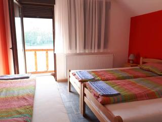 Vila Vitezov Mir - Drina - 6