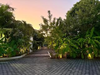 Tropical City Oasis - 4
