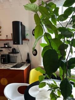Elegant Design Apartment in the Heart of Riga - 3