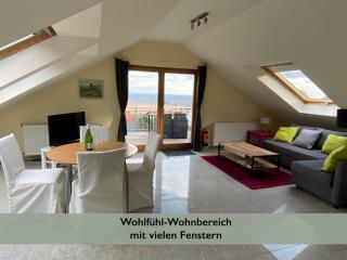 Ferienwohnung Fernblick Pfalz - mit Sauna - Weyher - 9