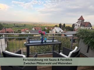 Ferienwohnung Fernblick Pfalz - mit Sauna - Weyher - 1