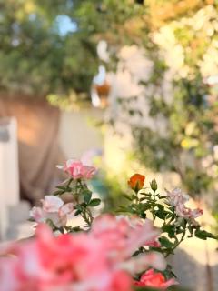 Luxor guest house - 1