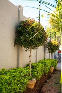 AndriMat Villa Harties - 5