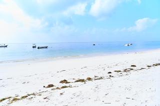 Coral Sands Luxury Residence - 5