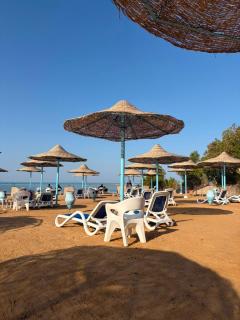 Fiesta Beach Resort - 9