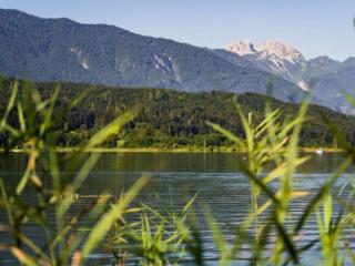 Seeblick am Pressegger See - 3