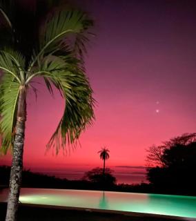 Tropical Garden Villa, Luxury Resort Nativa - 6