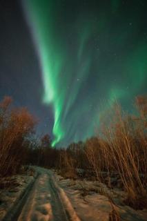 Northern light and midnight sun paradise - 8