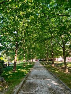 Villa Soléa Piscine et Nature à 15 min d Aix en Provence - 4