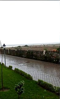 Les moules sauvages d'El Mansouria - 6