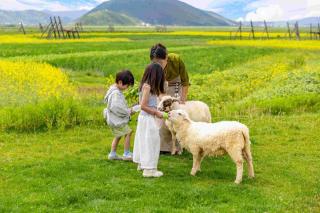 Shangri-La Yanwai · Boundless Wild THE HORIZON - 8