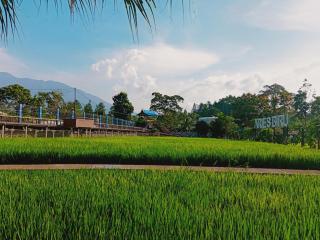Aries Biru Hotel & Villa - 2