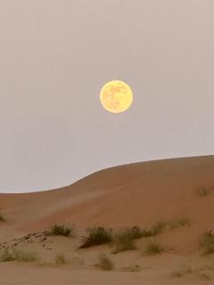 Wahiba sands night - 4