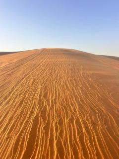 Wahiba sands night - 2