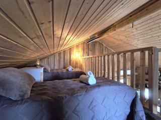 Ylläs, 2xCabin, 2xSauna, Arctic River, 9 persons, Wifi, Ice Plunge - 1