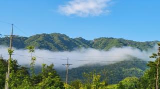Goseong Lavender Camping Caravan - 7