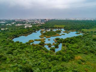 Ginger Bhavnagar - Bhavnagar - 6