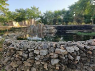 Mahamudra Forest Farm, Private Luxury Wellness Sanctuary - 9