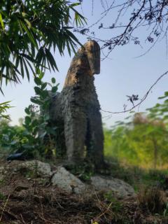 Mahamudra Forest Farm, Private Luxury Wellness Sanctuary - 4