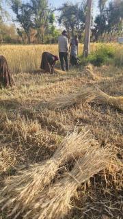 Mahamudra Forest Farm, Private Luxury Wellness Sanctuary - 3