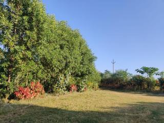 Mahamudra Forest Farm, Private Luxury Wellness Sanctuary - 1