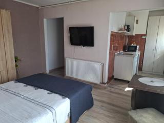 Studio Ultracentral cu balcon - 7