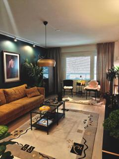 Spacious city centre apartment , sauna - 0