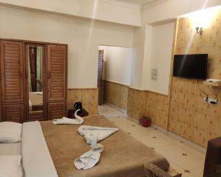 Greenwoods Inn Mcleodganj #Parking #lift #All Balcony Rooms #Rooftop Terrace #Prime Location # Close to the Triund Trek Point 400 Mtr Head - 4