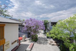 SYCX Retreat Villas - 4