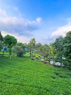 Wayanad De Mount Resort By RAK rooms - 6