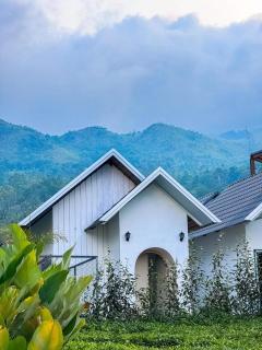 Wayanad De Mount Resort By RAK rooms - 1
