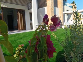 Sifah's garden mountain and seaview apartment - 3